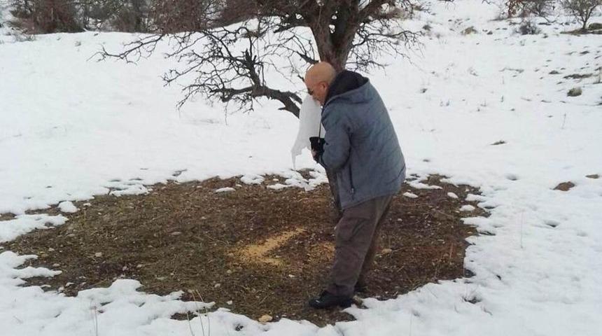 Tunceli’de Yaban Hayvanları İçin Yem Desteği