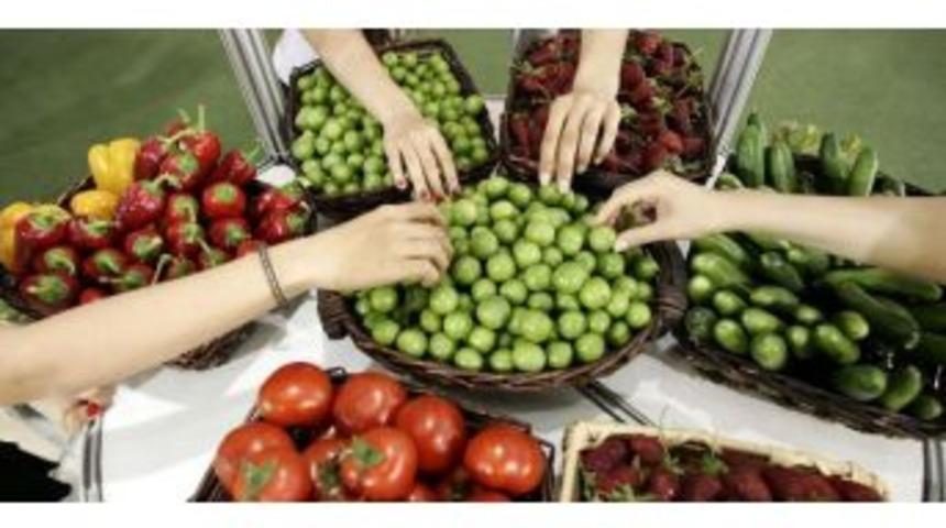 Organik &Uuml;r&uuml;nler İhracatının Y&uuml;zde 74&rsquo;&uuml; Ege&rsquo;den Yapıldı