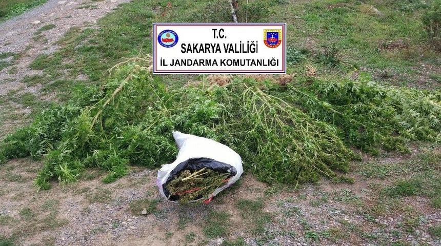 Sakarya&rsquo;da 5 İl&ccedil;ede Uyuşturucu Operasyonu
