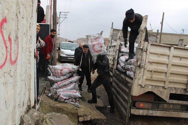 Cizre’de 6 Bin 750 Aileye Kömür Yardımı