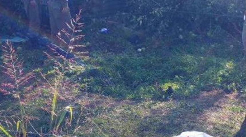 Yoldan Çıkan Otomobil Takla Attı: 1 Ölü