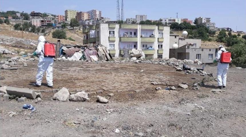 Şırnak Şehir Merkezinde İlaçlama Çalışmaları Devam Ediyor