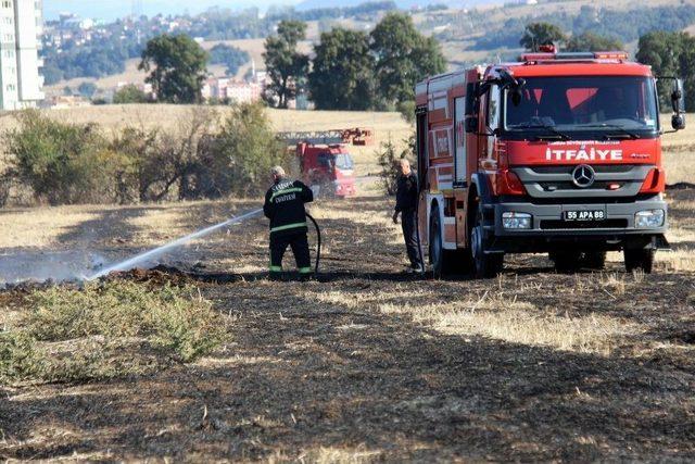 Samsun’da Anız Yangını