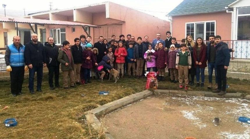 Minikler Sokak Hayvanlarını Unutmadı