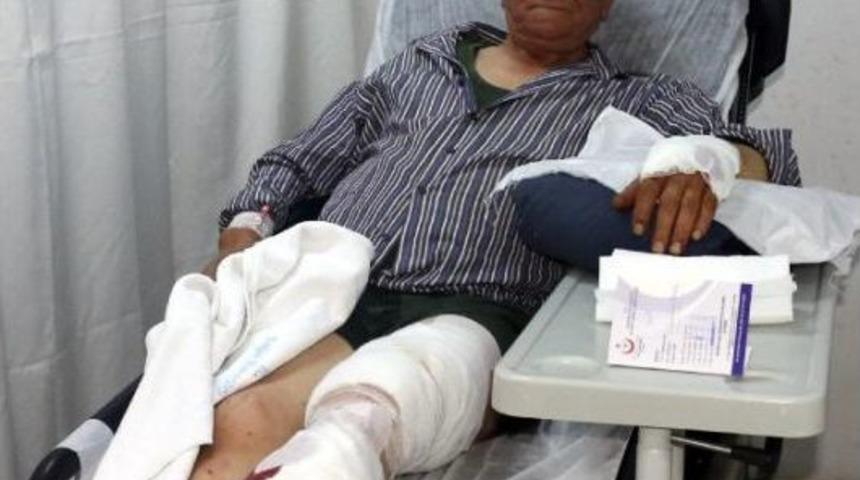 Ayı Saldırısında Yaralandı