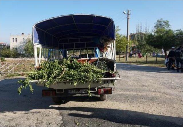 Eşinin Kullandığı Kamyonet Düşen Kadın Ağır Yaralandı