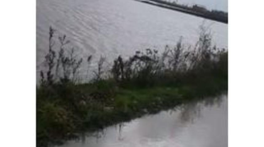 Adana&rsquo;da Tarım Alanlarını Su Bastı