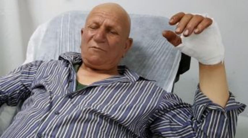 Kuşburnu Toplarken Ayının Saldırısına Uğradı