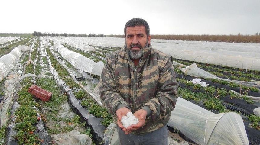 Mersin’de Dolu, Sera Ve Bahçelere Zarar Verdi