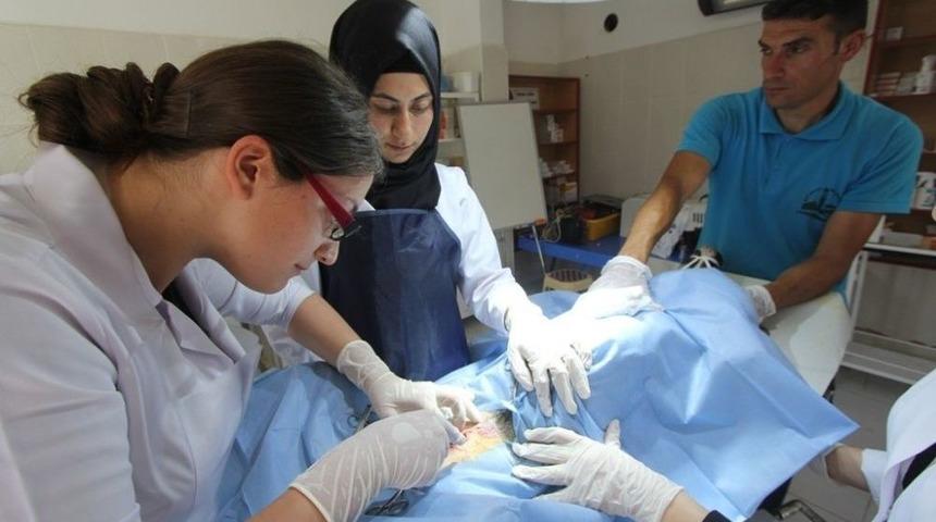 Stajyer Öğrenciler İlk Defa Ameliyat Heyecanı Yaşadı