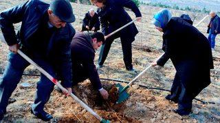 Meram’da Yeşil Alan Çalışmaları