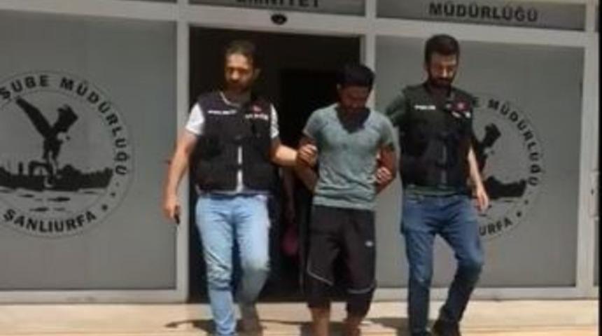 Şanlıurfa&rsquo;da Hırsızlıktan Araması Bulunanlara Y&ouml;nelik Operasyon: 12 G&ouml;zaltı