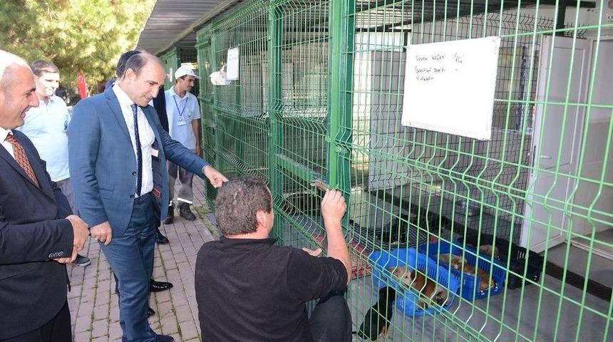 Yıldırım&rsquo;da Can Dostları Sahipsiz Değil