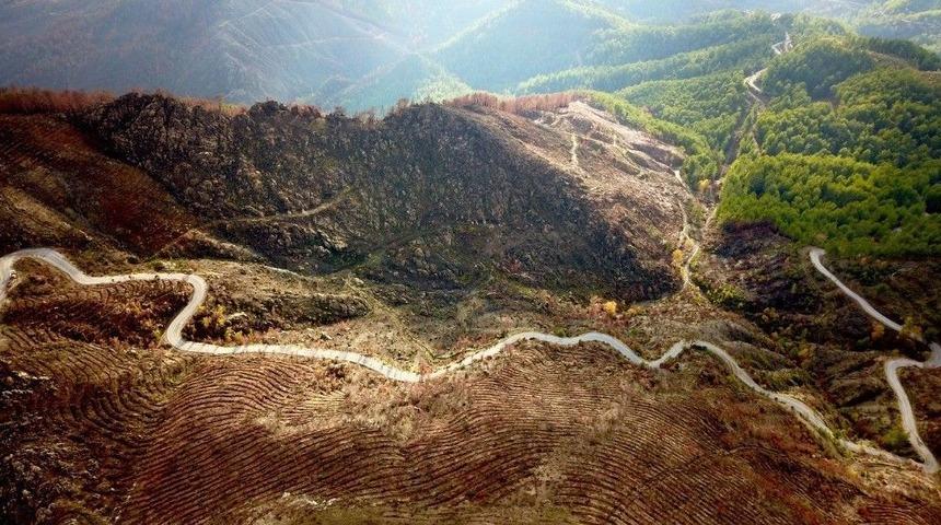 Anamur&rsquo;da Yangının İzleri Silindi
