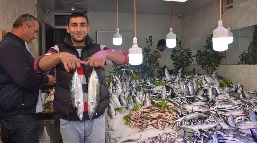 Tezgahlarda Palamut Bereketi