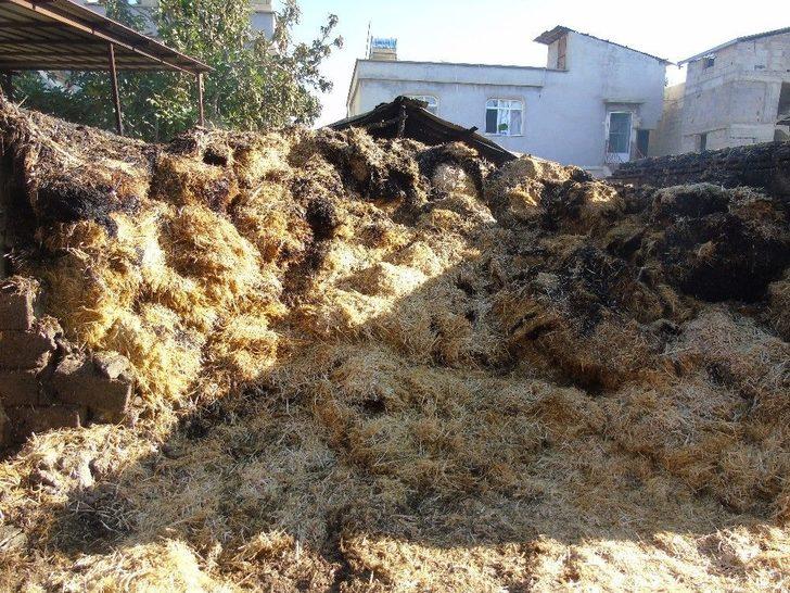 Gaziantep’te Ahır Yangını G1