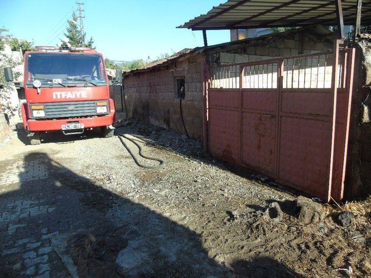 Gaziantep’te Ahır Yangını G2