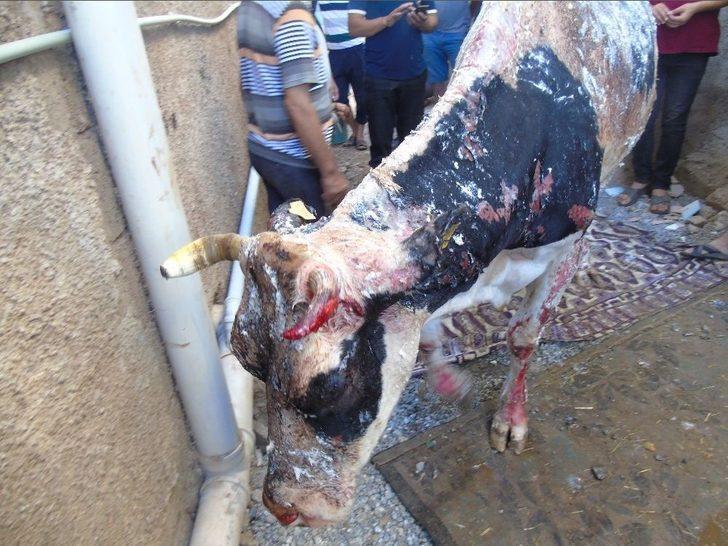 Gaziantep’te Ahır Yangını G3