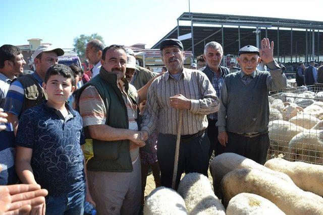 Kurban Pazarında Bayram Hareketliği Başladı