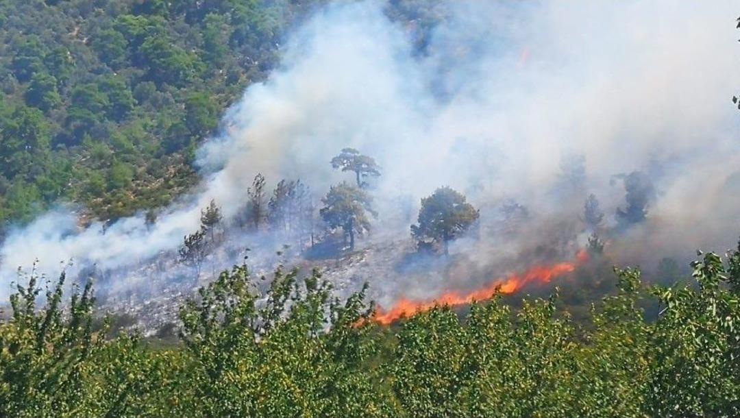 Arı Kovanlarının Bulunduğu B&ouml;lgede Yangın