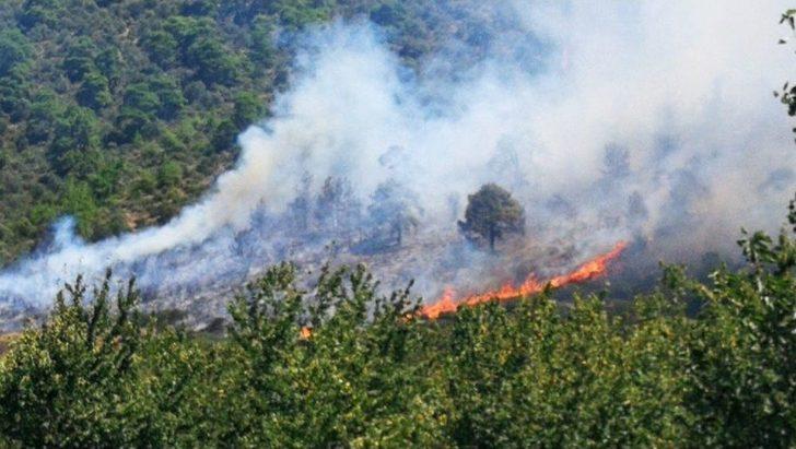 Arı Kovanlarının Bulunduğu Bölgede Yangın G3