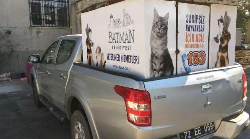Batman'da Sahipsiz Ve Hasta Hayvanlar I&ccedil;in Iletişim Hattı