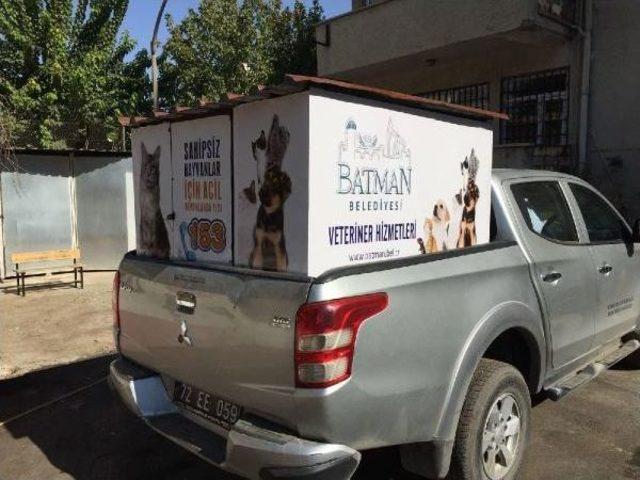 Batman'da Sahipsiz Ve Hasta Hayvanlar Için Iletişim Hattı