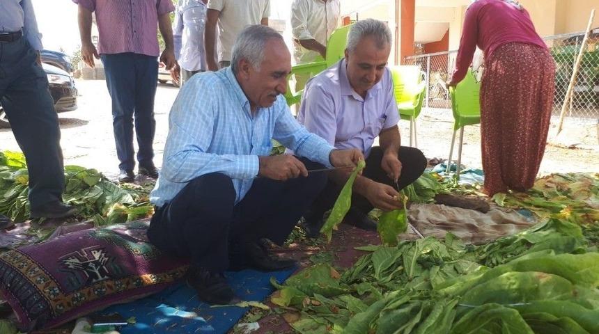 Milletvekili Taş, Besni İlçesini Köy Köy Geziyor