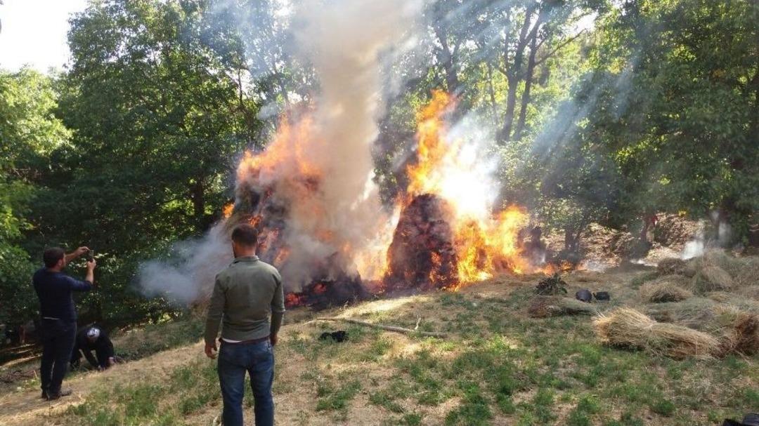 Şemdinli&rsquo;de Bin Bağ Ot Yandı