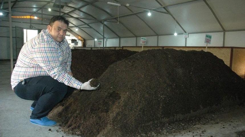 Siyah Altından Yılda 60 Bin Lira Kazanıyor