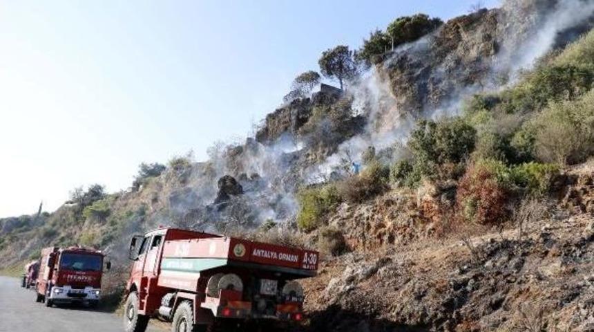 &Ccedil;alılık Alanda &Ccedil;ıkan Yangın, 5 Evi Yaktı