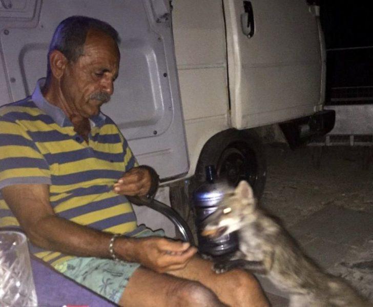 Çeşmeli Kaptan Yabani Tilki Osi’yi Elleriyle Besliyor G2