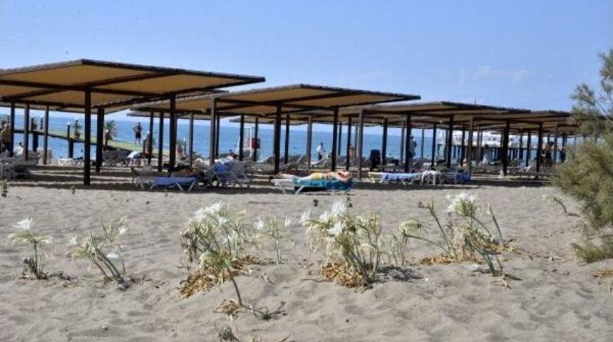 Bu &Ccedil;i&ccedil;eği Koparmanın Cezası 38 Bin Lira