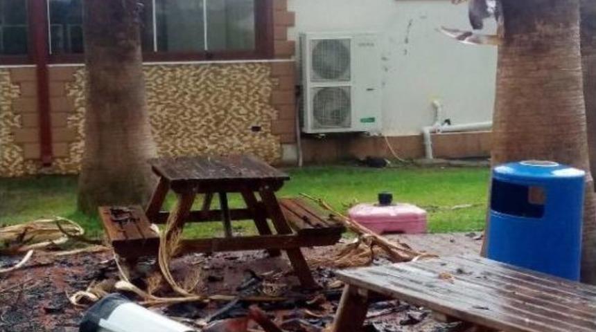 Acil Servisin &Ouml;n&uuml;ndeki Ağaca Yıldırım D&uuml;şt&uuml;