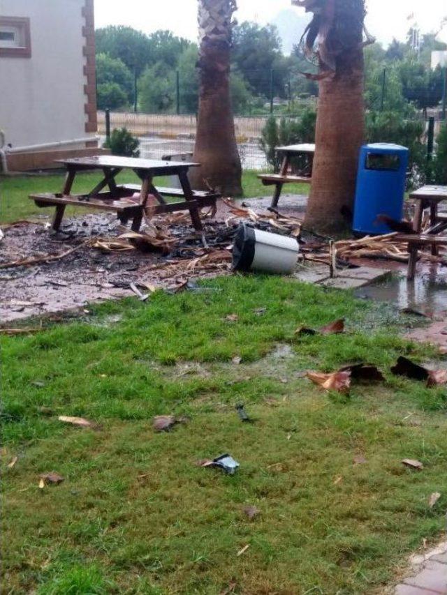 Acil Servisin &Ouml;n&uuml;ndeki Ağaca Yıldırım D&uuml;şt&uuml; 1