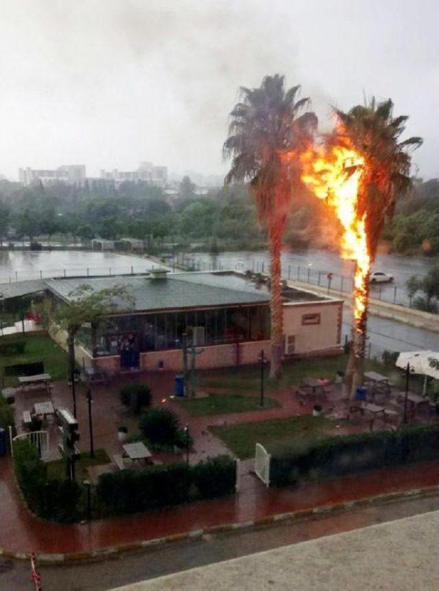 Acil Servisin &Ouml;n&uuml;ndeki Ağaca Yıldırım D&uuml;şt&uuml; 2