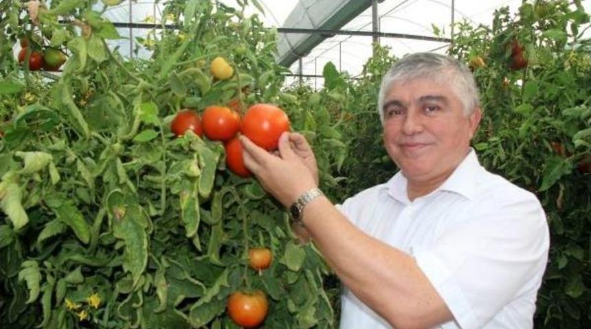 Burdurlu &Uuml;retici Seracılığa Y&ouml;neldi