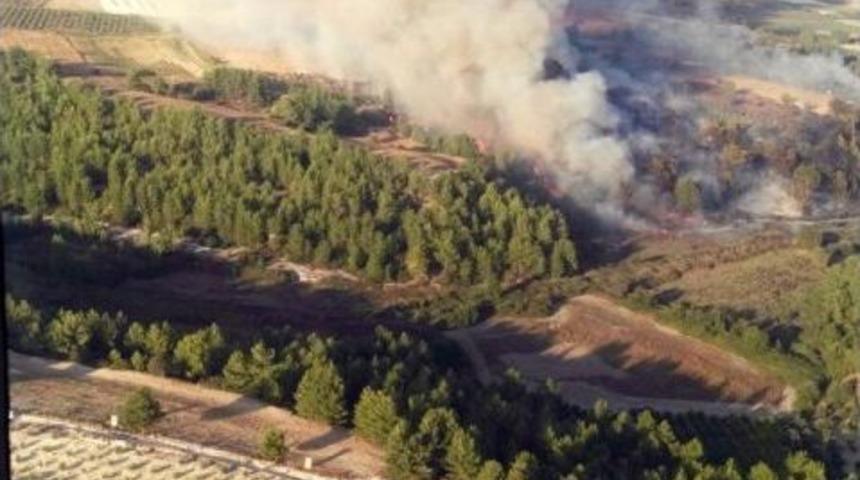 Seydikemer&rsquo;de Orman Yangını: 5 D&ouml;n&uuml;m Alan Yandı