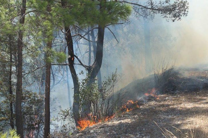 Antalya’daki Orman Yangını Kontrol Altına Alındı G2