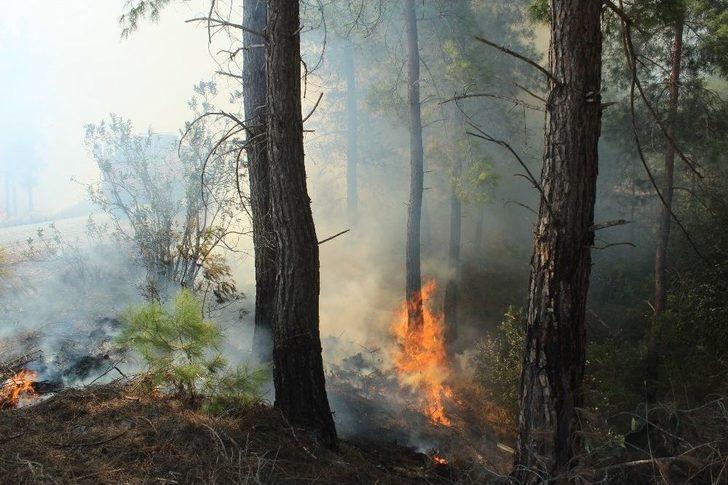 Antalya’daki Orman Yangını Kontrol Altına Alındı G3