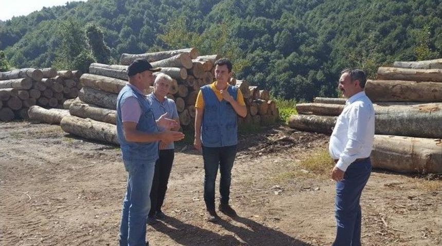Orman B&ouml;lge M&uuml;d&uuml;r&uuml; Keskin Ak&ccedil;akoca&rsquo;da İncelemelerde Bulundu