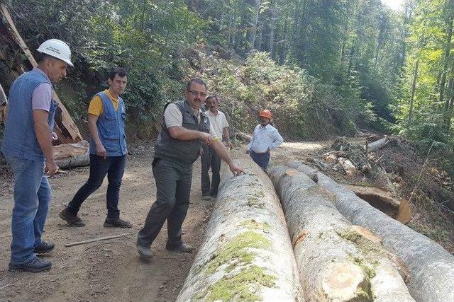 Orman Bölge Müdürü Keskin Akçakoca’da İncelemelerde Bulundu