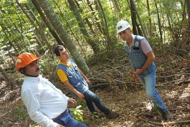 Orman Bölge Müdürü Keskin Akçakoca’da İncelemelerde Bulundu