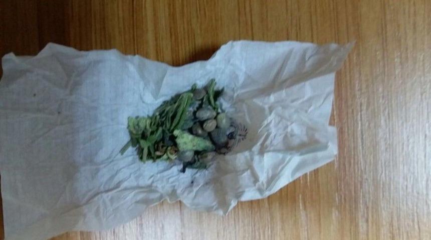 İ&ccedil;ime Hazır Esrar Ele Ge&ccedil;irildi: 2 G&ouml;zaltı