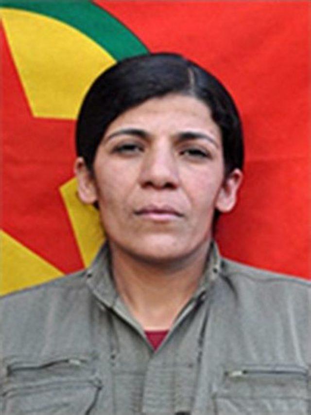 Lice&rsquo;de &Ouml;ld&uuml;r&uuml;len İki Ter&ouml;rist &Uuml;st D&uuml;zey Sorumlu &Ccedil;ıktı 1