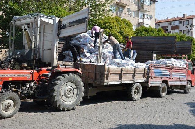 Vali Haktankaçmaz: 