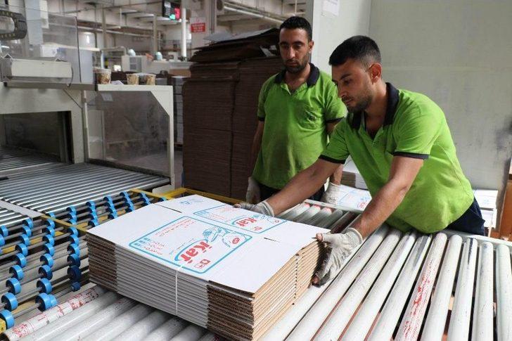 Herkes Kaçarken O Yatırım Yapmayı Tercih Etti G1