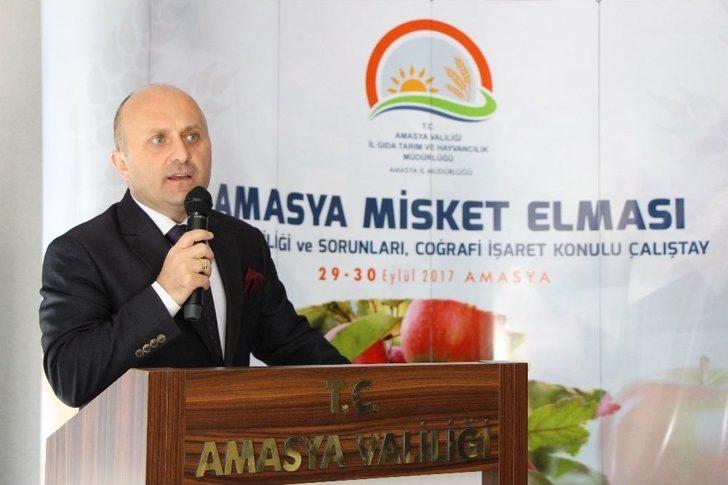 2 Bin Yıllık Amasya Elması Coğrafi İşaret Yolunda G3