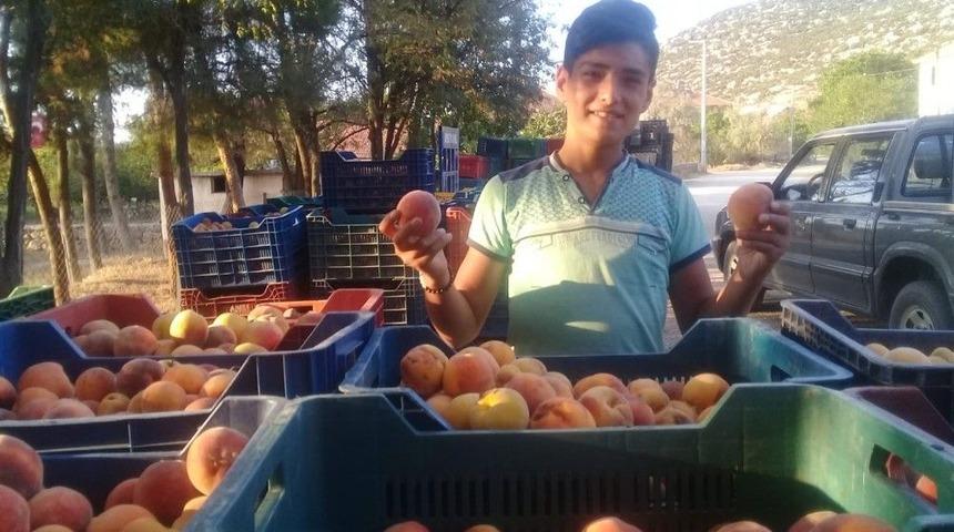 Erik&rsquo;ten Sonra Karpuz Ve Şeftali De Dış Pazarda