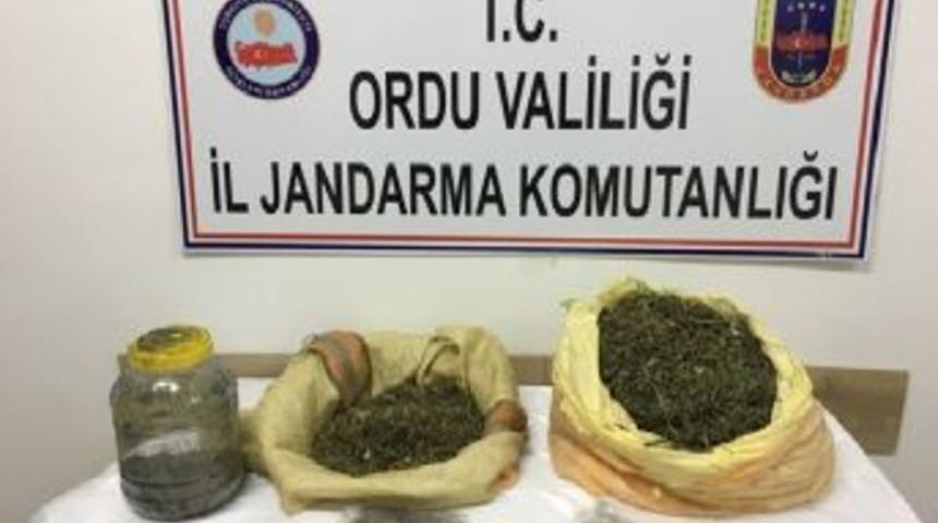 Ordu&rsquo;da Uyuşturucu İmal Eden 1 Kişi Yakalandı